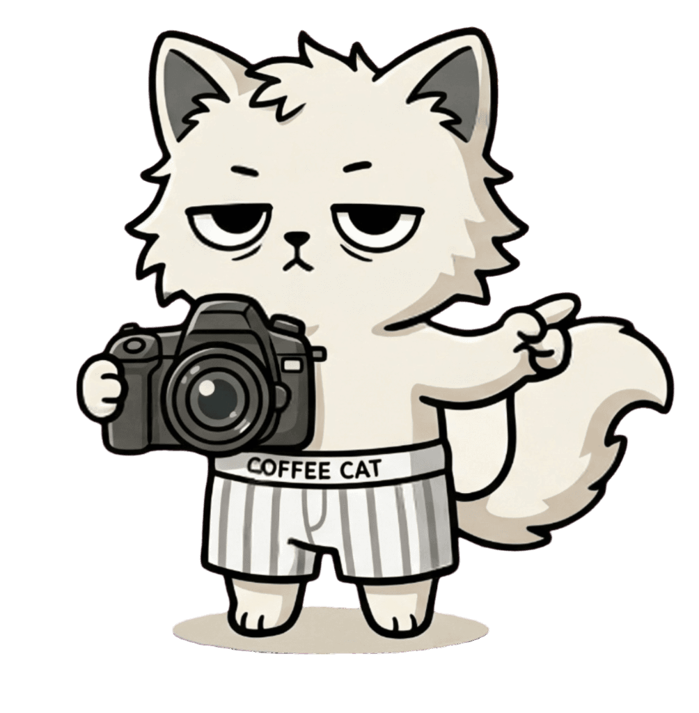Cat cameraman pointing at the text